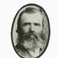 Fergus Lester (1842 - 1912) Profile
